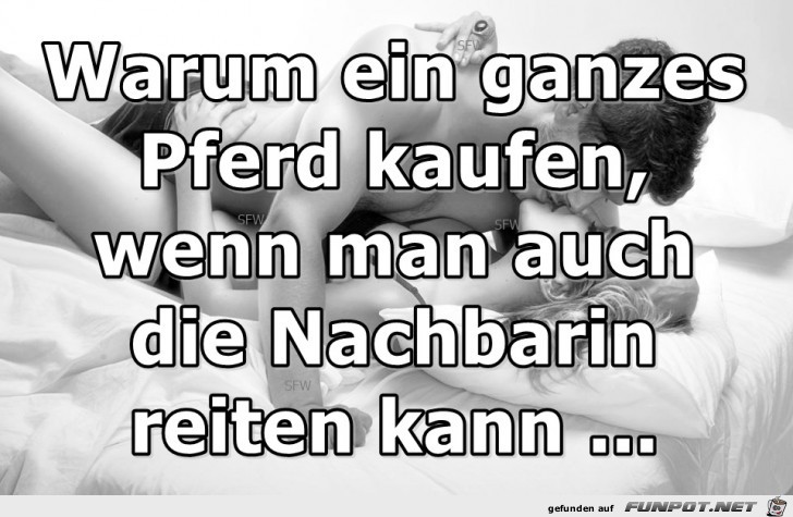 Warum ein ganzes Pferd kaufen Warum ein ganzes Pferd kaufen
