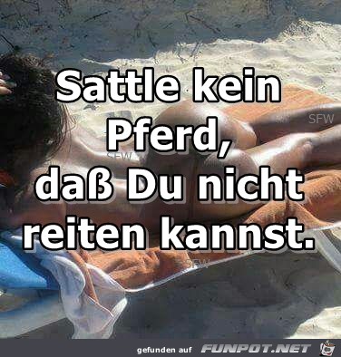 Sattle kein Pferd Sattle kein Pferd