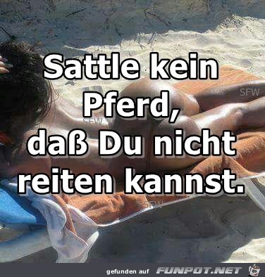 Sattle kein Pferd