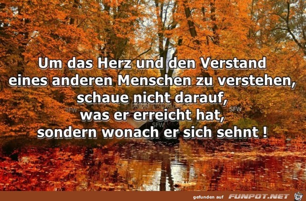 Um das Herz Um das Herz