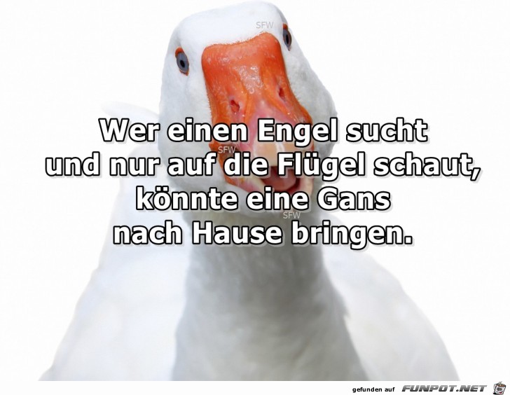 Wer einen Engel sucht