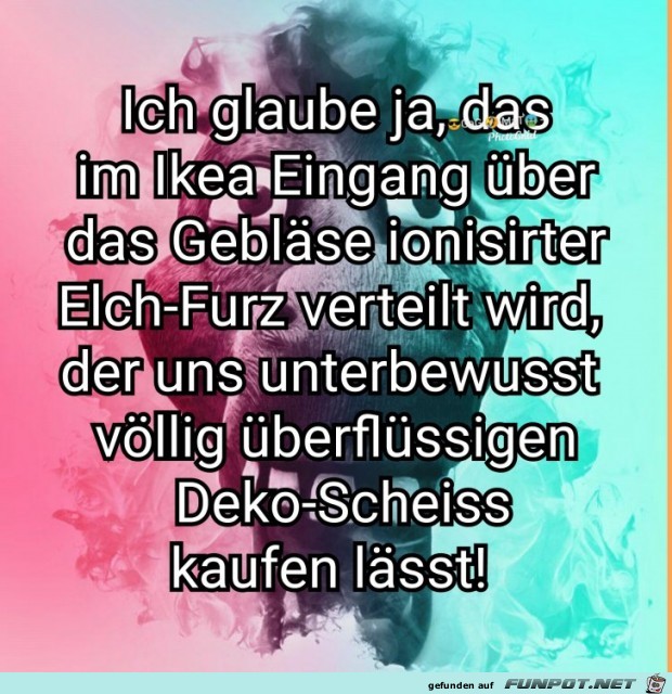 Elch-Furz Elch-Furz
