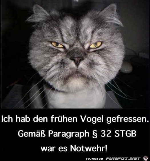Der frühe Vogel ist Geschichte Der frühe Vogel ist Geschichte