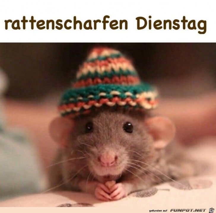 Dienstag Dienstag
