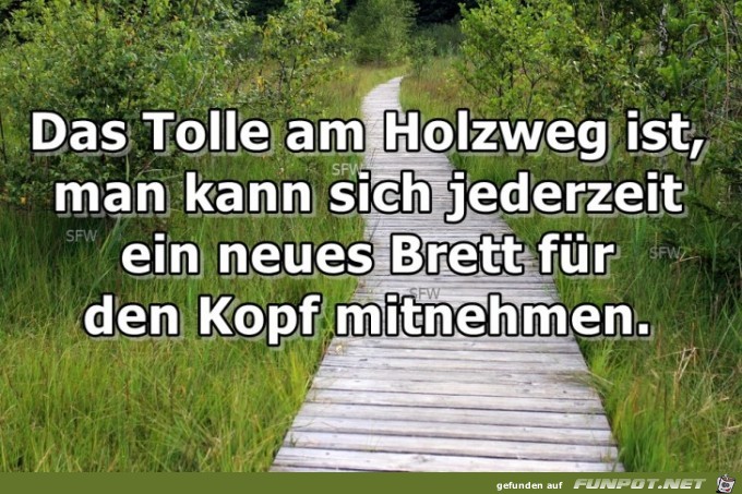 Das Tolle am Holzweg