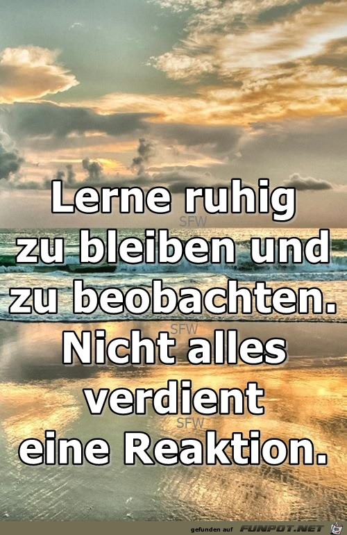 Lerne ruhig zu bleiben Lerne ruhig zu bleiben