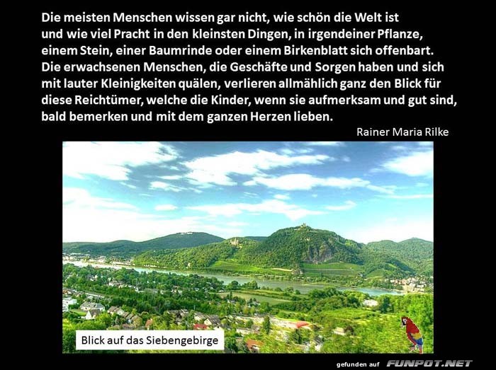 Blick fuer Kleinigkeiten Blick fuer Kleinigkeiten