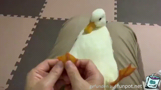 Fußmassage Fußmassage