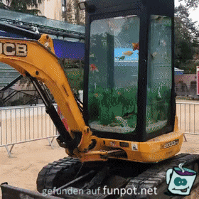 Cooles Aquarium Cooles Aquarium