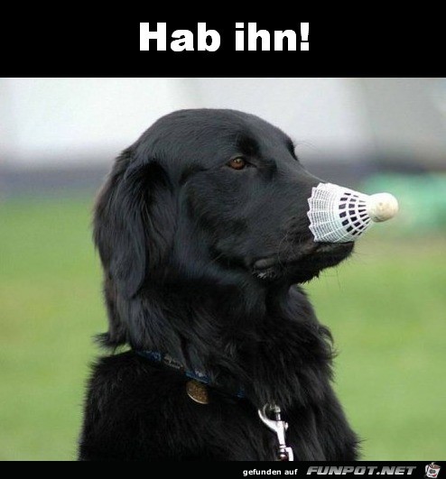 Gefangen Gefangen