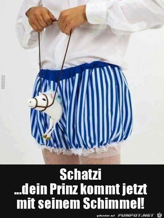 Dein Prinz Dein Prinz