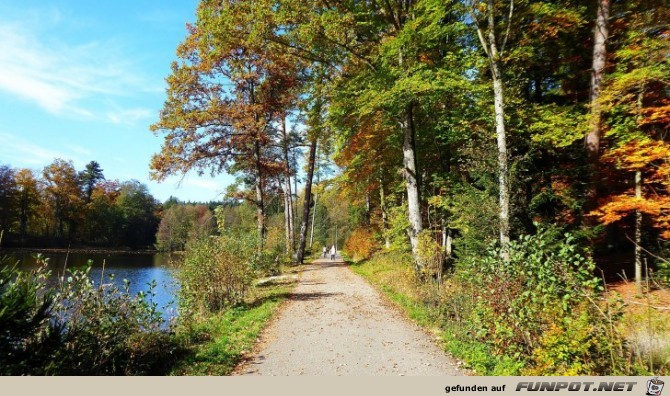 der Ebnisee im Herbst