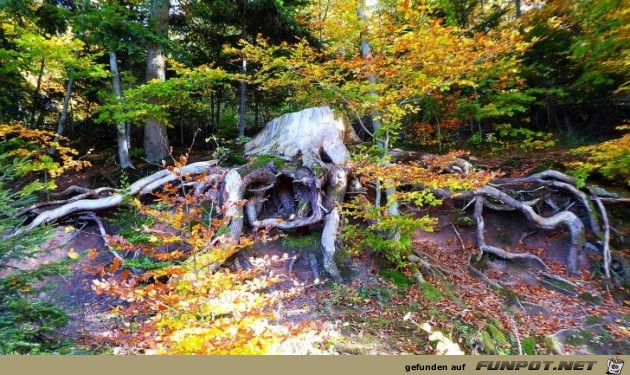 der Ebnisee im Herbst