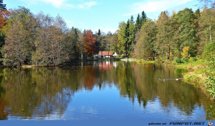 der Ebnisee im Herbst