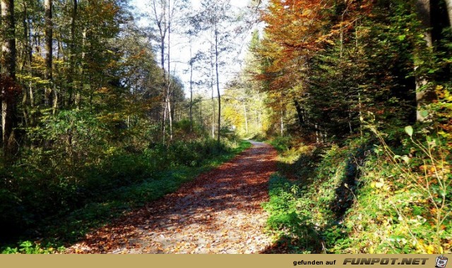 der Ebnisee im Herbst