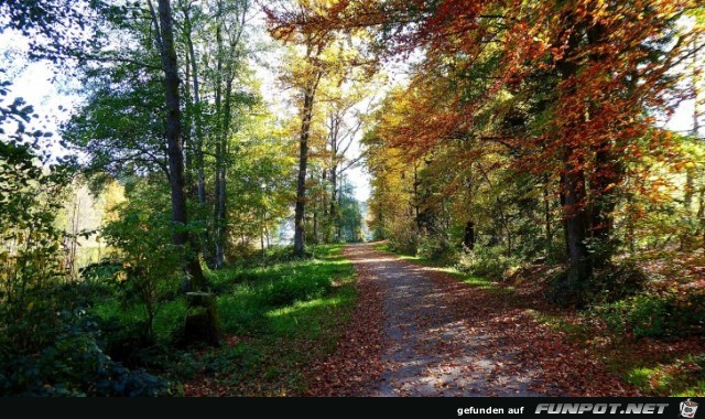 der Ebnisee im Herbst