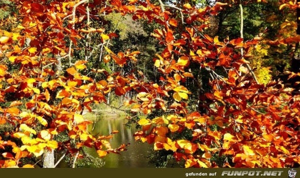 der Ebnisee im Herbst