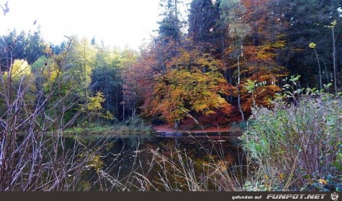 der Ebnisee im Herbst