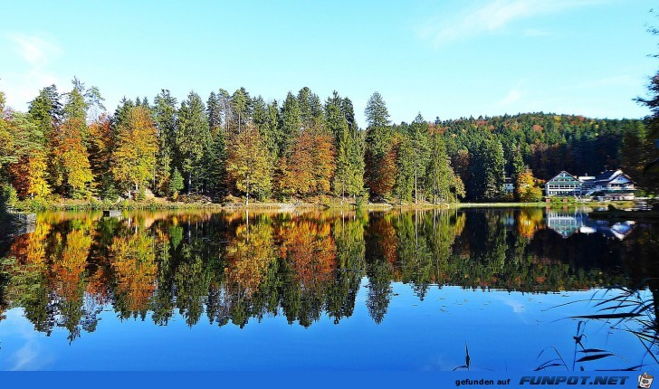 der Ebnisee im Herbst