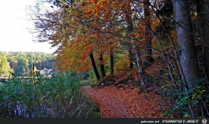 der Ebnisee im Herbst