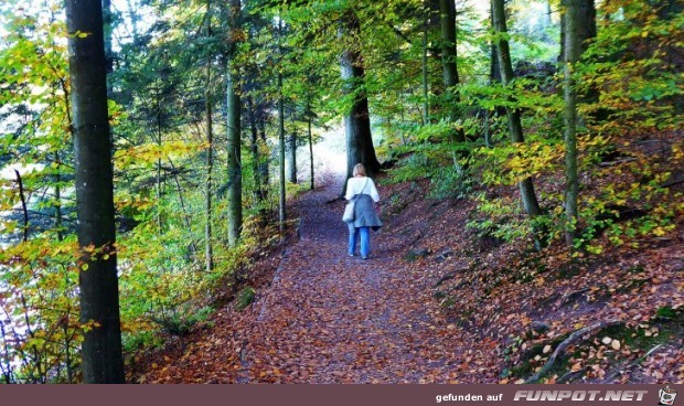 der Ebnisee im Herbst