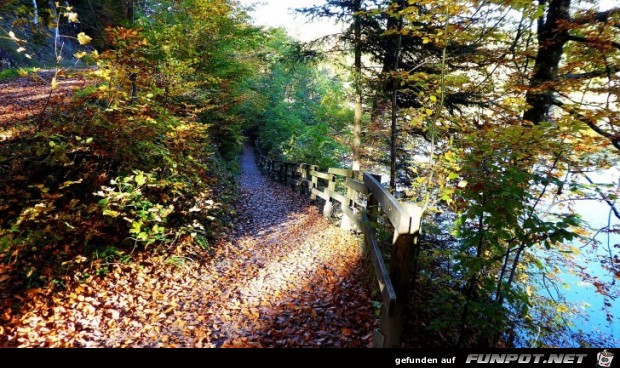 der Ebnisee im Herbst