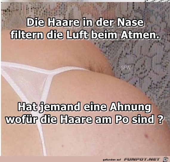 Haare am Po Haare am Po