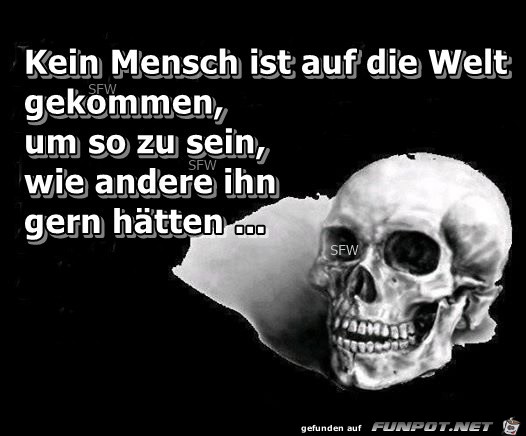 Kein Mensch ist auf der Welt