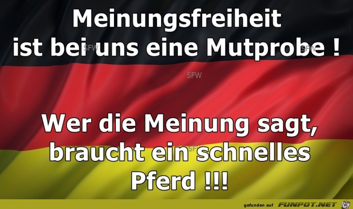 Meinungsfreiheit