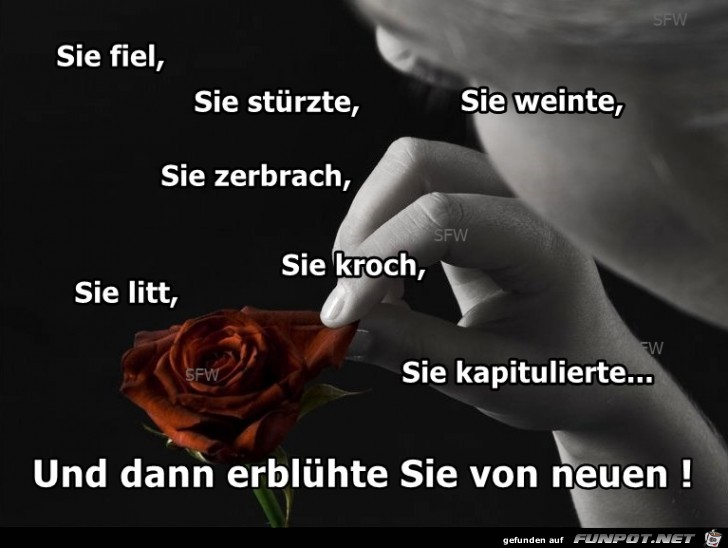 dann erbluehte sie dann erbluehte sie
