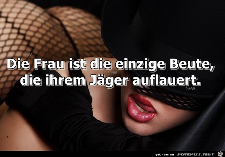 die einzige Beute die einzige Beute