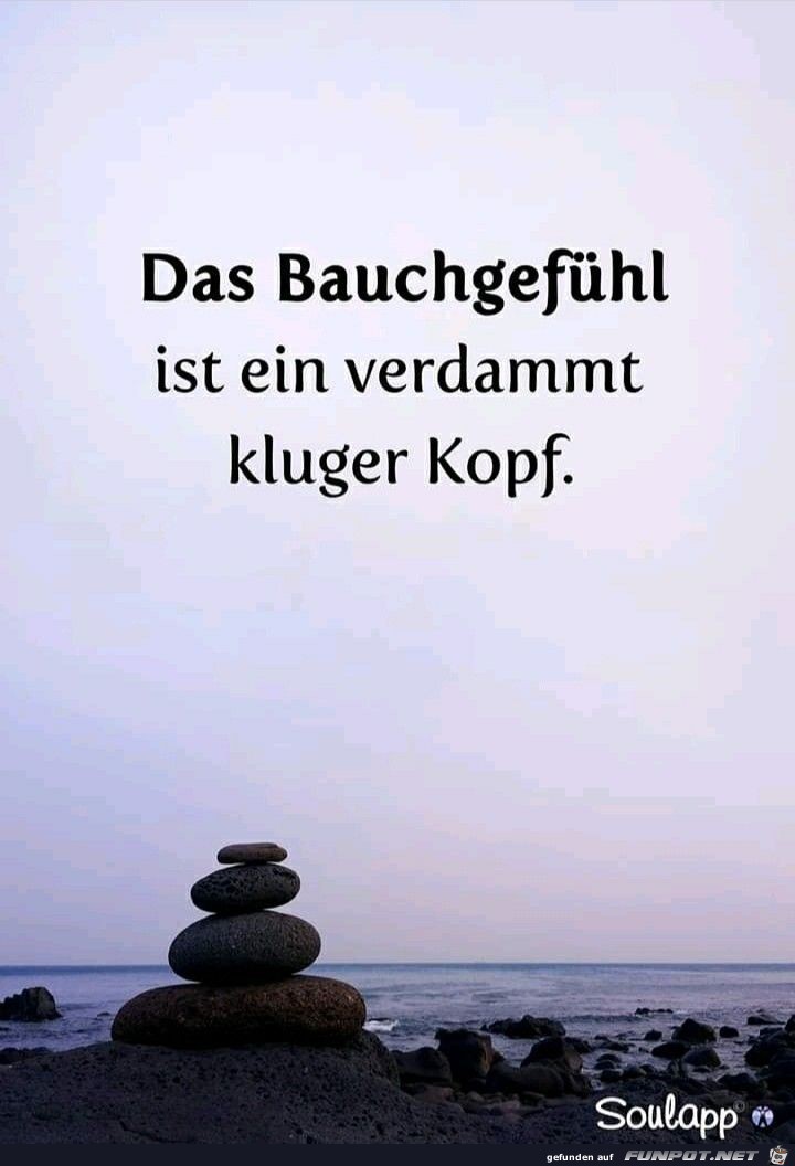 das Bauchgefuehl