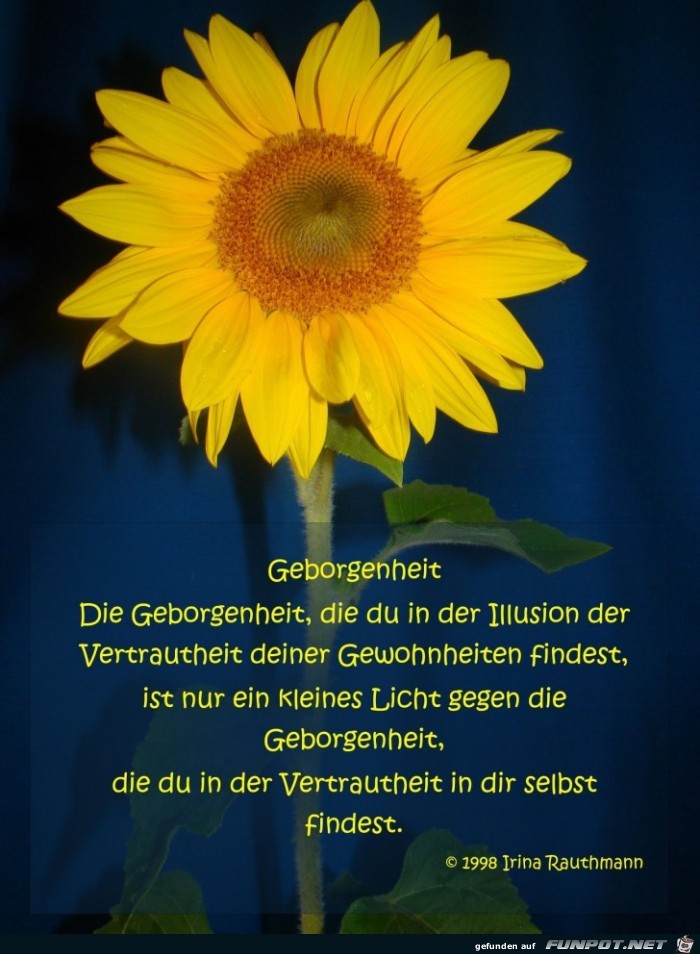 Die Geborgenheit