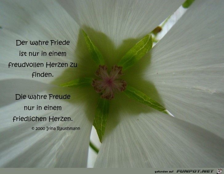 der wahre friede der wahre friede