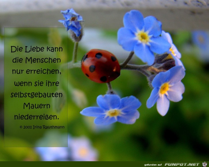 die Liebe kann die Menschen die Liebe kann die Menschen
