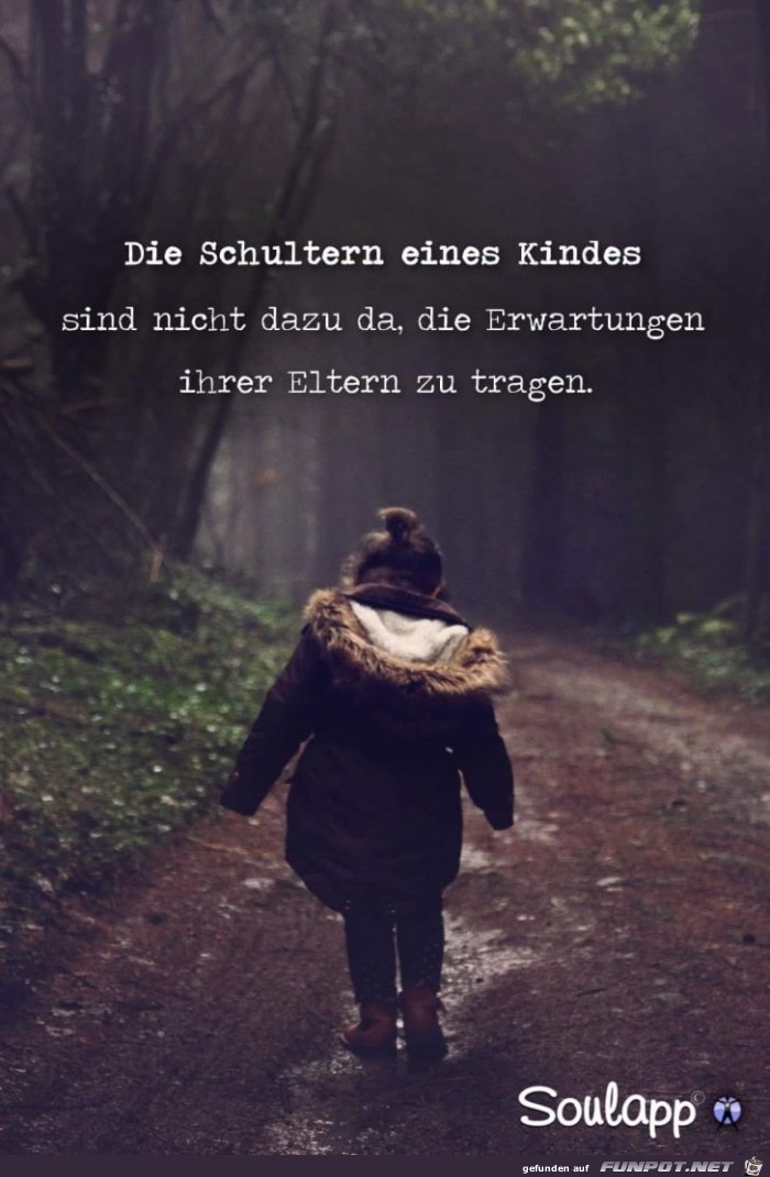 die Schultern die Schultern
