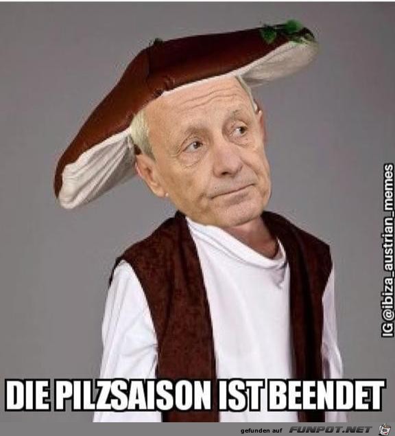 Die Pilzsaison