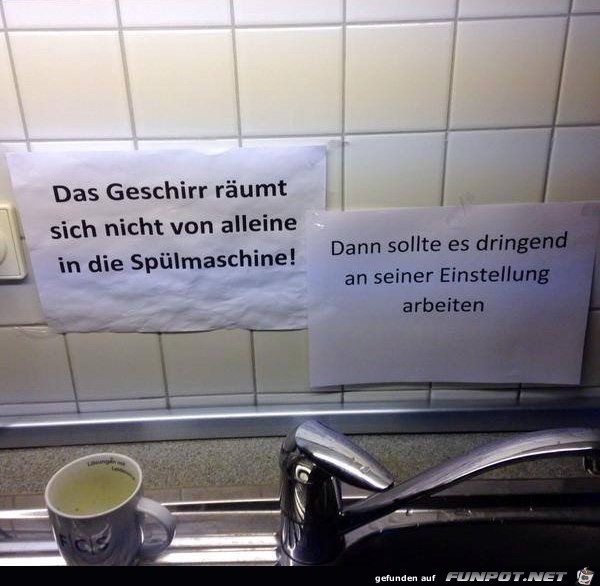 das geschirr das geschirr