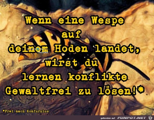Gewaltfrei Gewaltfrei