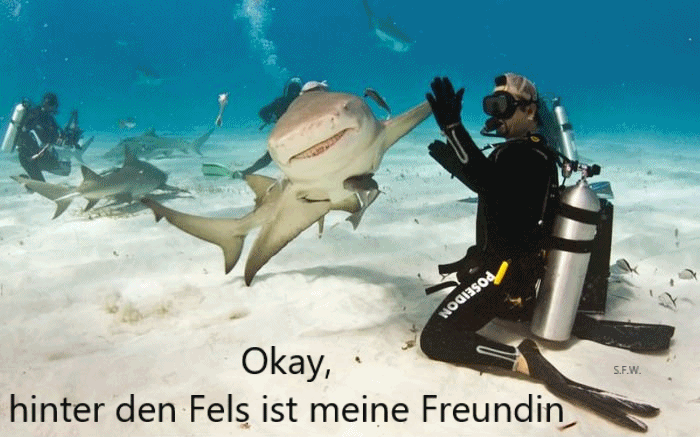 Tauchurlaub Tauchurlaub