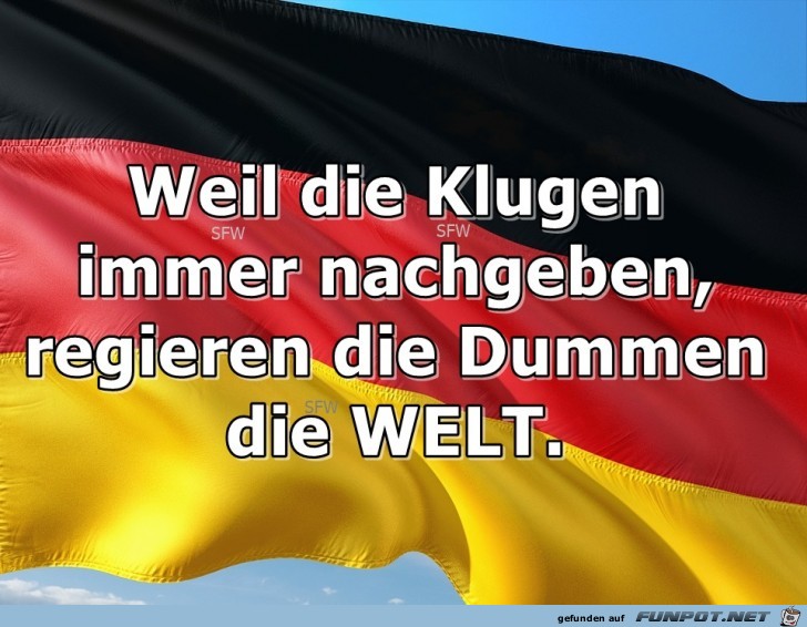 Weil die Klugen