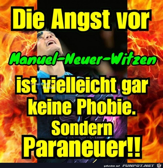 Paraneuer Paraneuer