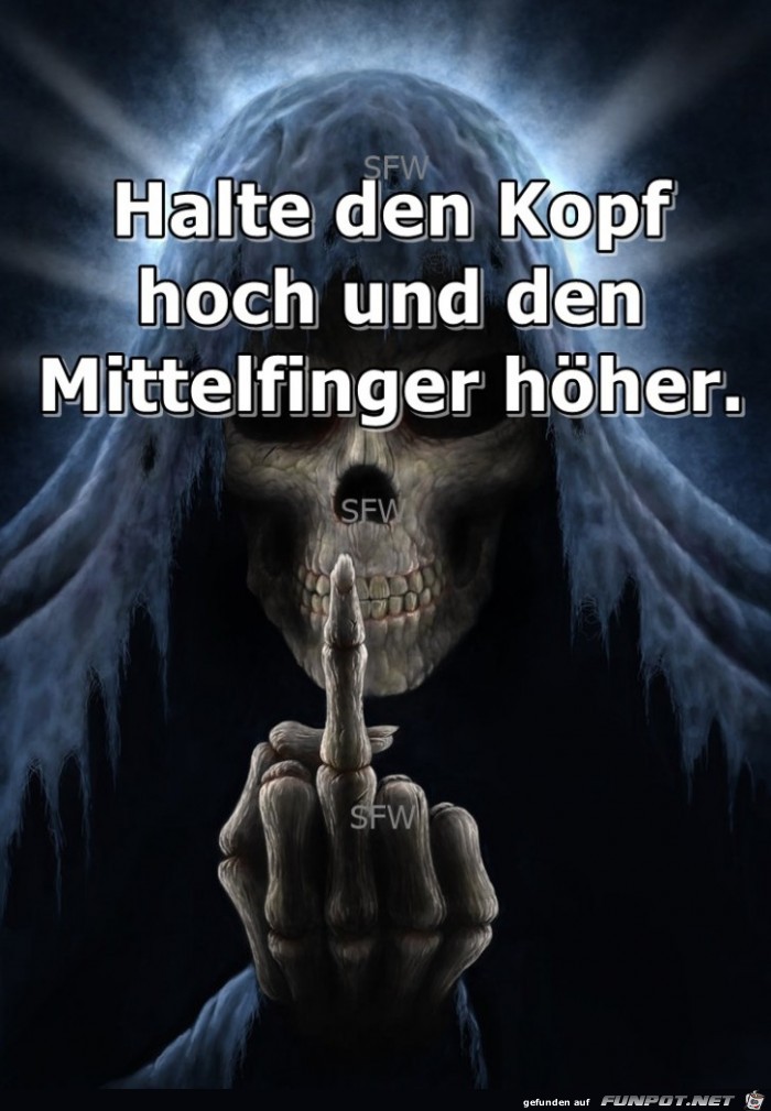 Halte den Kopf