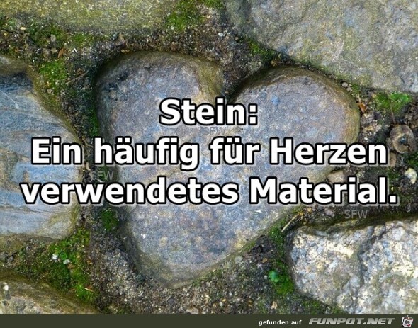 Stein