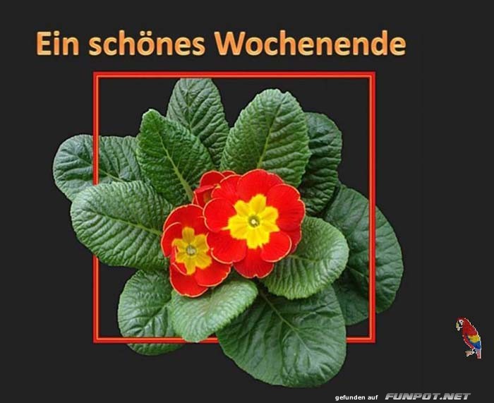 Ein schoenes Wochenende 8 Ein schoenes Wochenende 8