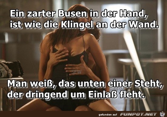 Ein zarter Busen