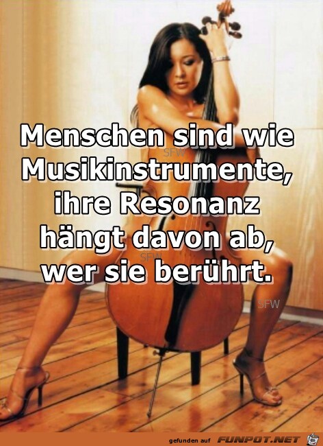 Musikinstrumente Musikinstrumente
