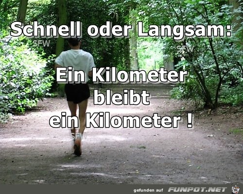 Schnell oder Langsam Schnell oder Langsam