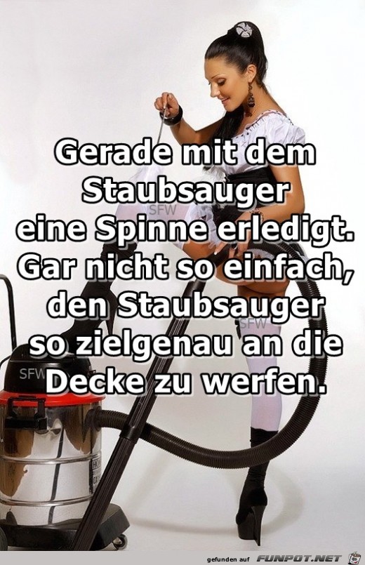 Staubsauger Staubsauger