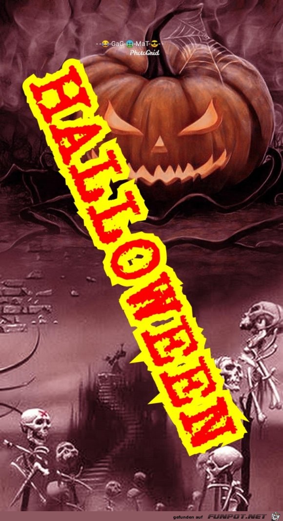 Halloween Halloween
